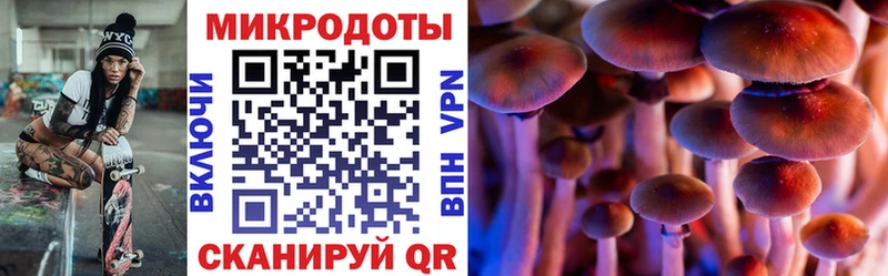 что такое   Слободской  Галлюциногенные грибы Magic Shrooms 
